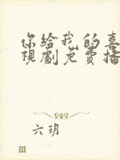 你给我的喜欢电视剧免费播放