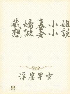 藏娇表小姐她不想做妾小说免费阅读