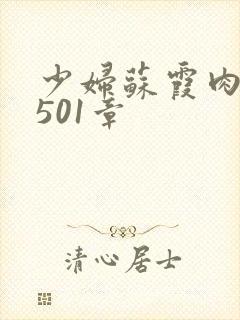 少妇苏霞肉欲第501章