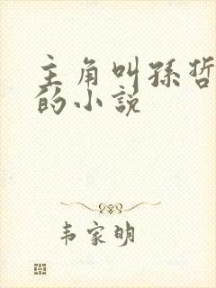 主角叫孙哲叶巧的小说封面