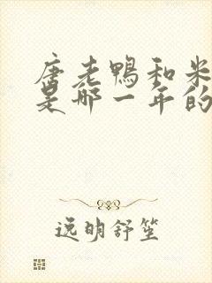 唐老鸭和米老鼠是哪一年的