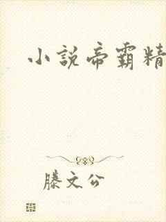 小说帝霸精校版