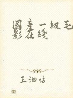 国产一级毛a电影在线