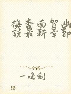 梅杏南贺幽寒小说最新章节更新