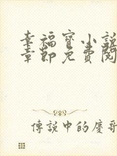 幸福宝小说最新章节免费阅读封面