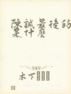 陈诚最后的结局是什么封面