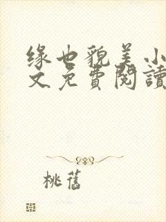 缘也貌美小说全文免费阅读最新章节封面