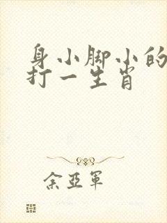 身小脚小的动物打一生肖