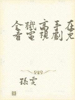 全职高手在线观看电视剧免费封面