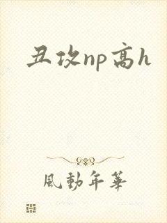 丑攻np高h