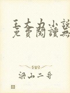 王大力小说小说免费阅读无弹窗