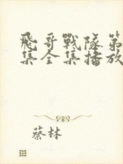 飞哥战队第50集全集播放