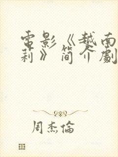 电影《越南妹霍莉》简介剧情