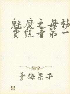 魅魔之母动漫免费观看第一季