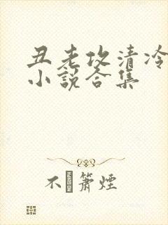 丑老攻清冷美人小说合集