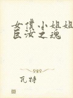 女仆小姐姐们和巨汝之魂封面