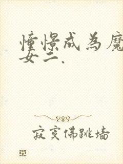 憧憬成为魔法少女二.封面