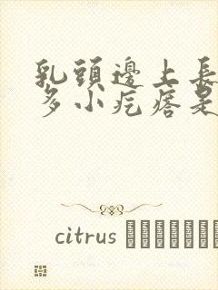 乳头边上长了很多小疙瘩是怎么回事啊