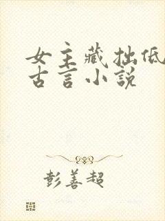 女主藏拙低调的古言小说封面