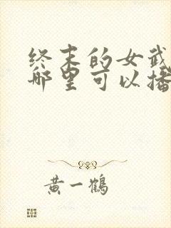 终末的女武神在哪里可以播放