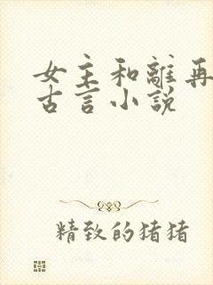 女主和离再嫁的古言小说封面