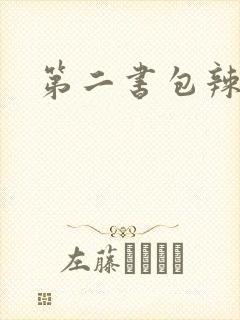 第二书包辣文封面
