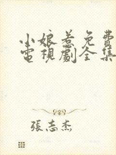 小娘惹免费观看电视剧全集封面