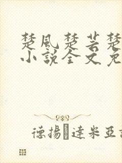 楚风楚芸楚鸿飞小说全文免费阅读