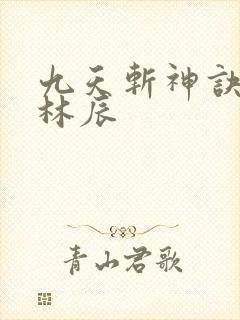 九天斩神诀一一林辰