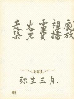 走火电视剧40集免费播放