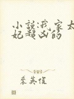 小说:我家太子妃超凶的