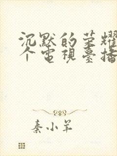 沉默的荣耀在那个电视台播放封面