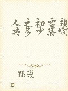 人之初电视剧一共多少集啊