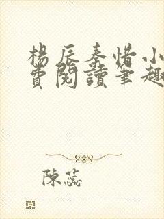 杨辰秦惜小说免费阅读笔趣阁全文