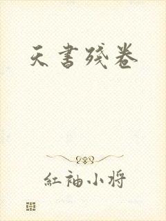天书残卷封面