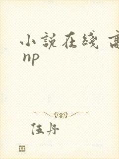 小说在线 高h np封面