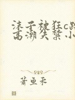 沫子被狂c躁到高潮失禁小说