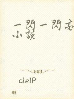 一闪一闪亮星星小说