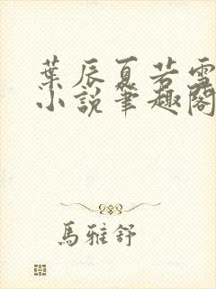 叶辰夏若雪孙怡小说笔趣阁封面