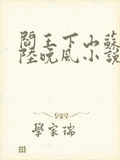 阎王下山苏文,陆晚风小说