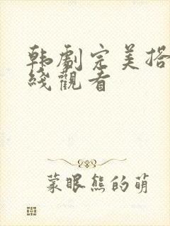 韩剧完美搭档在线观看封面