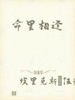命里相逢封面