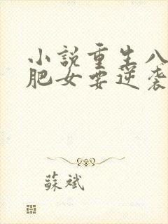 小说重生八零:肥女要逆袭完整版未删减小说