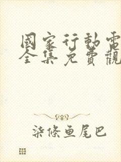 国家行动电视剧全集免费观看封面