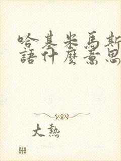 哈基米马斯得日语什么意思