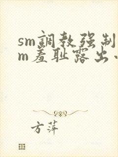 sm调教强制女m羞耻露出小说封面