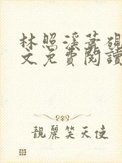 林照溪萧砚川全文免费阅读封面