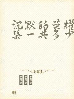 沉默的荣耀多少集一共多少集啊