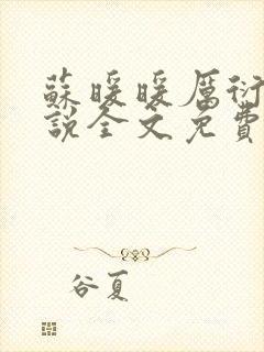 苏暖暖厉衍琛小说全文免费阅读