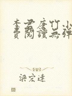 李君唐竹小说免费阅读无弹窗封面